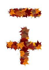 Plus and minus symbol multicolored fall leaf isolated