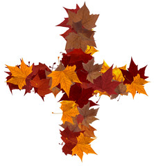 Plus symbol multicolored fall leaf composition isolated