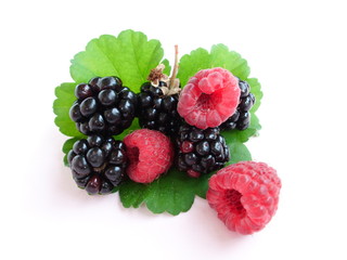 Stilleben Himbeere & Brombeere