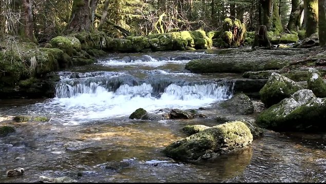 cascades du h&eacute;risson