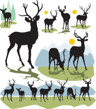 set vector deer silhouettes