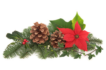 Christmas Flora and Fauna