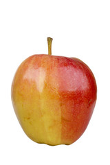 Gala Apple