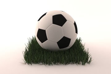 football on grass white background