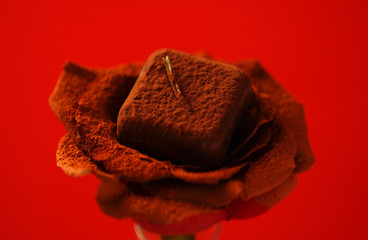 Fototapeta premium A rose and chocolate