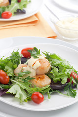 Scallop Salad With Saffron Dressing
