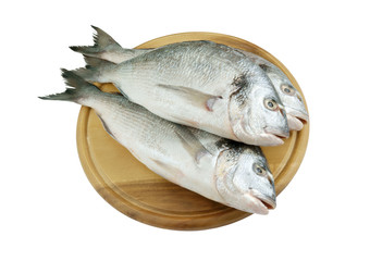 Fresh dorado fish on cutting board isolated on white