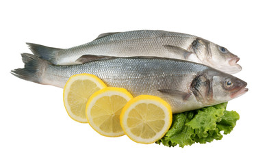 Seabass fish with lemon and greens isolated