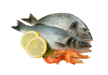 Dorado, seabass and shrimp isolated on white
