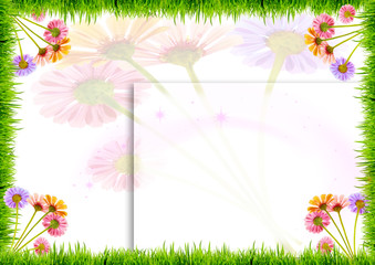 Spring flowers and grass on a white background