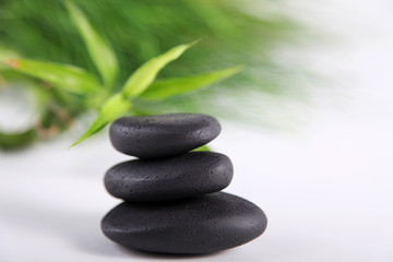 Fototapeta na wymiar SPA Wellness Steine schwarz mit Bambuspflanze Nahaufnahme