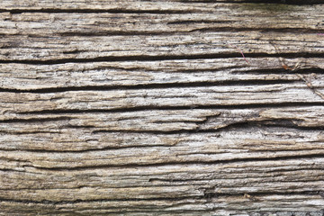 Wood background