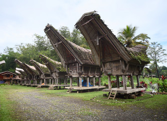 Fototapeta na wymiar Toraja