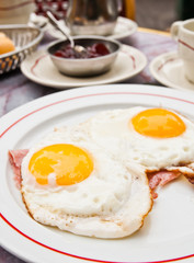 Prepared Egg - prepared egg under the sun