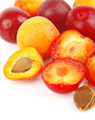 Apricots and plums