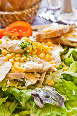Fresh chicken salad with tomatoes