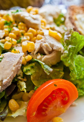 Fresh chicken salad with tomatoes