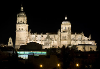 Fototapeta na wymiar nocturnal cathedral