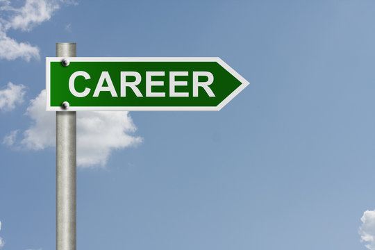 Your career path
