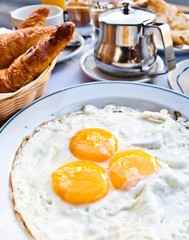 Prepared Egg - prepared egg under the sun