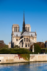 Fototapeta na wymiar Cathédrale Notre Dame de Paris, France