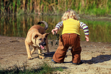 Little boy playing with his dog