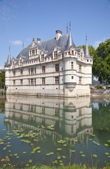 Nenúfares junto al castillo de Azay, Francia