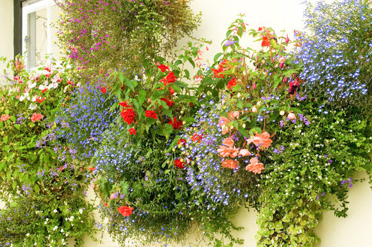 Colorful Floral Display Of Hanging Baskets