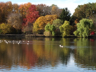 Fototapeta na wymiar Fall Foliage and Pond