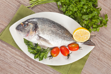 Fresh gilthead