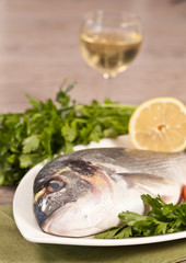 Fresh gilthead