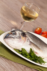 Fresh gilthead