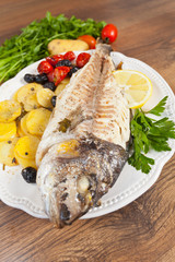 Gilthead fish