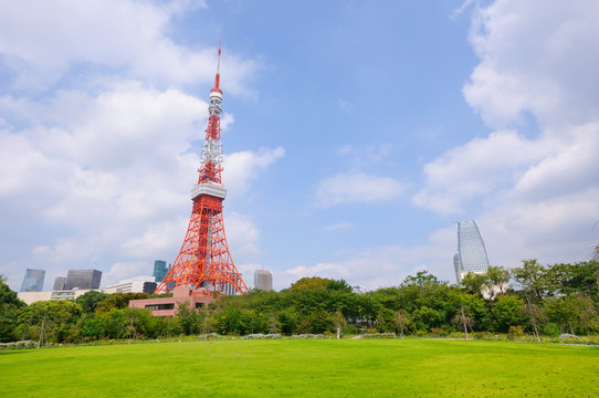 Fototapeta Tokyo Tower and Shiba Park in Tokyo, Japan