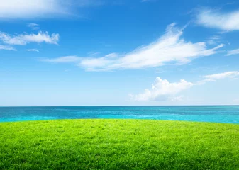 Rolgordijnen green grass and sea © Iakov Kalinin