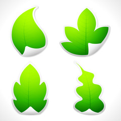 Leaf Sticker