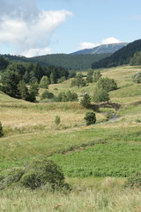 Paysage du Capcir,Pyr&eacute;n&eacute;es orientales