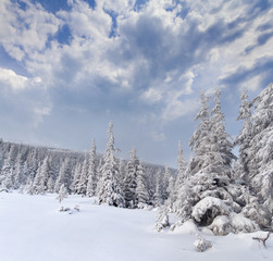 snowstorm in the mountains