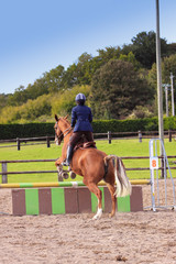 pretty young woman rider in a competition riding