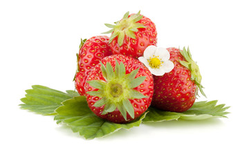 Strawberry fruits with flowers and green leaves