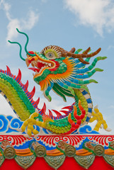 Fototapeta premium colourful chinese dragon