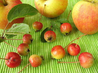 Äpfel und Miniäpfel