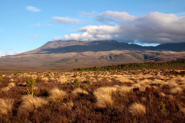 Landschaft im Tongariro Nationalpark
