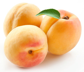 Apricots with leaves