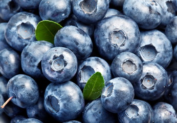 Blueberries with leaves
