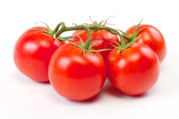branch of tomato isolated over white background