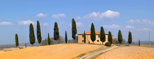 Haus mit Zypressen Toskana panorama