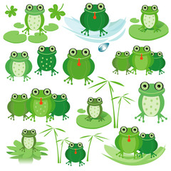 Frogs