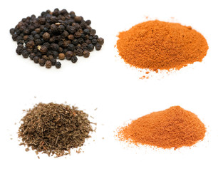 Selection of spices isolated on white