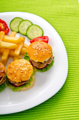 Burgers with french fries in plate